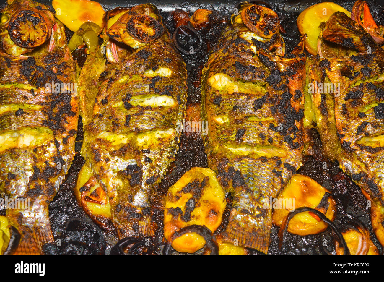 homemade grilled tilapia fish Stock Photo - Alamy