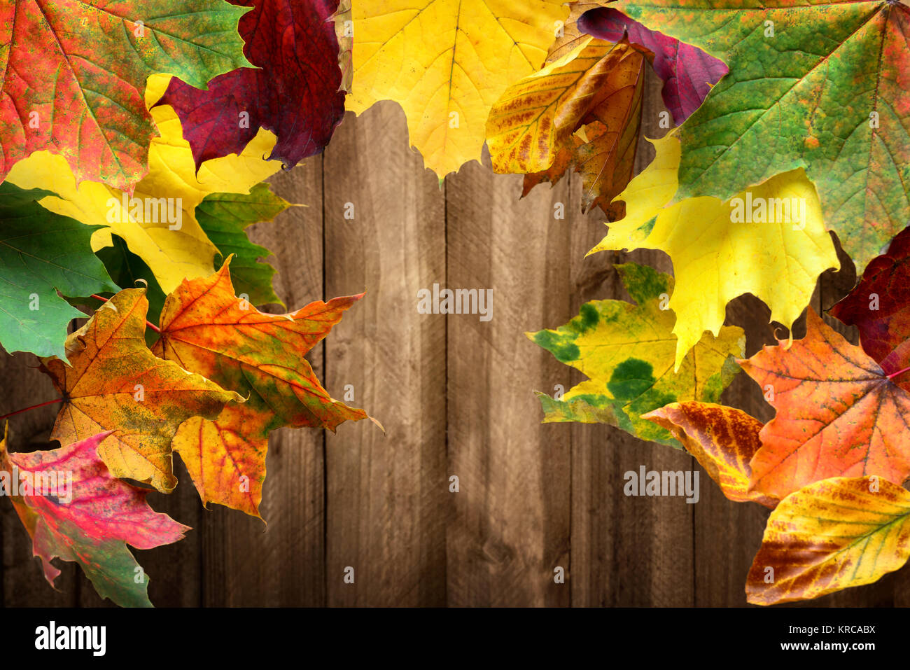 Colorful maple leaves in autumn frame a wood planks background Stock ...