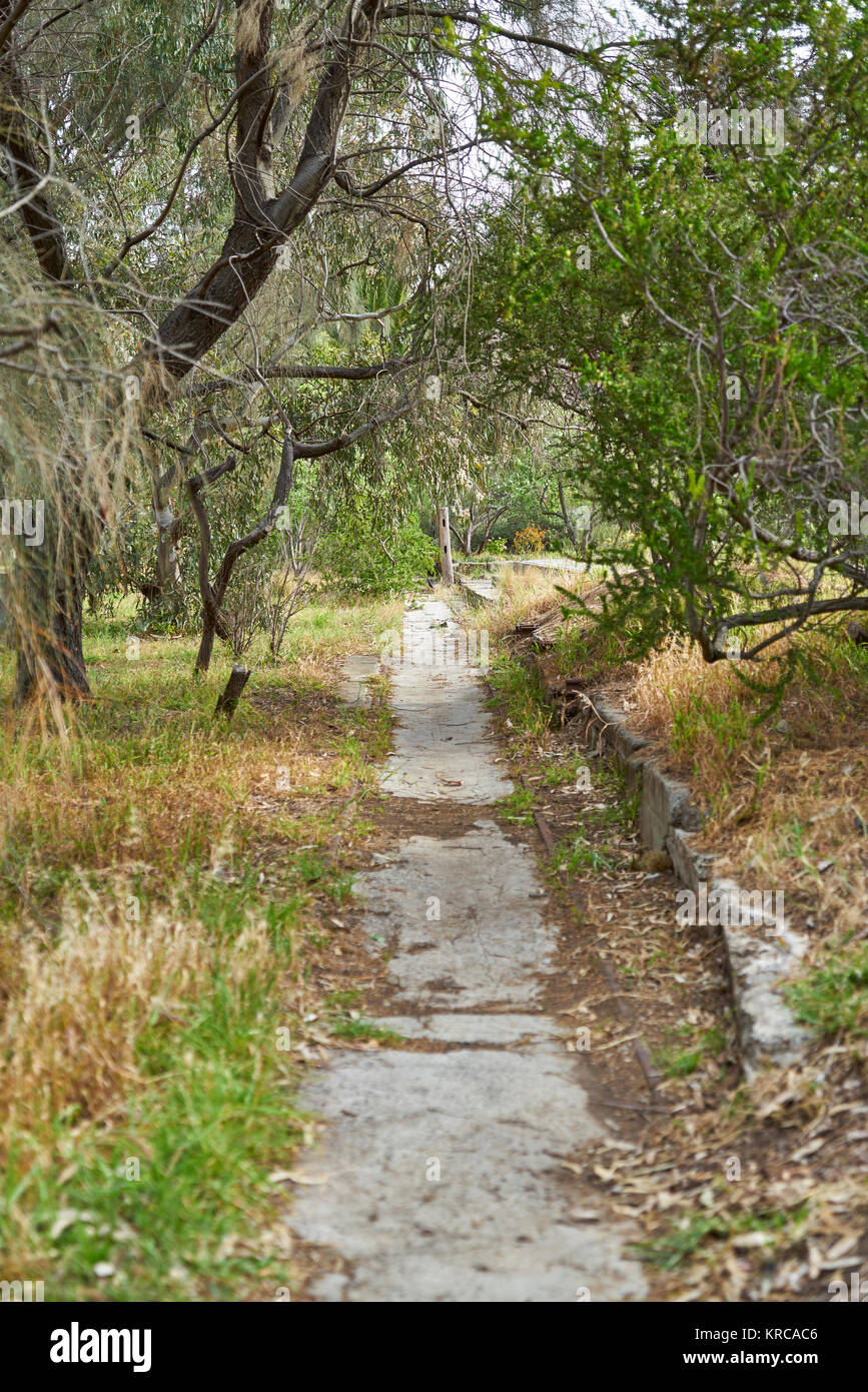 Images from around pipemakers park in Maribyrnong, Melbourne. Mostly