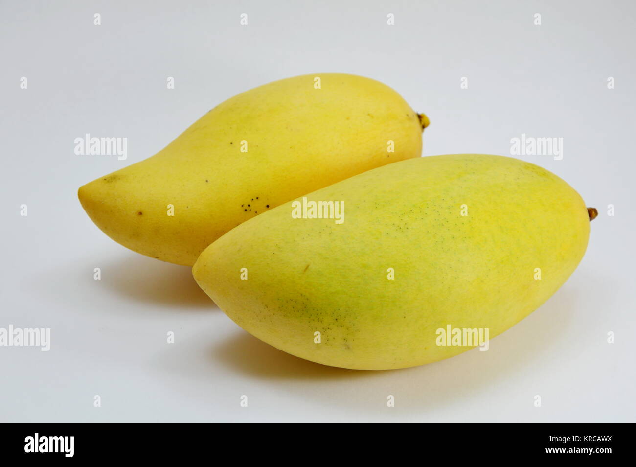 mango ripen on white background Stock Photo - Alamy