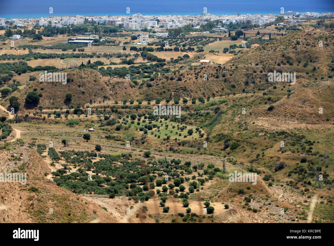 Olive groves around Kardamena as seen from the fortress Antimachia.  Kos island, Dodecanese Stock Photo