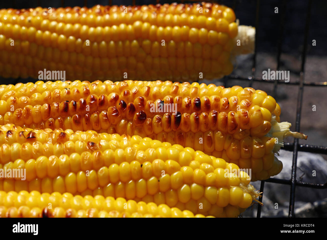 Cooked corn cobs on barbecue grill Stock Photo Alamy