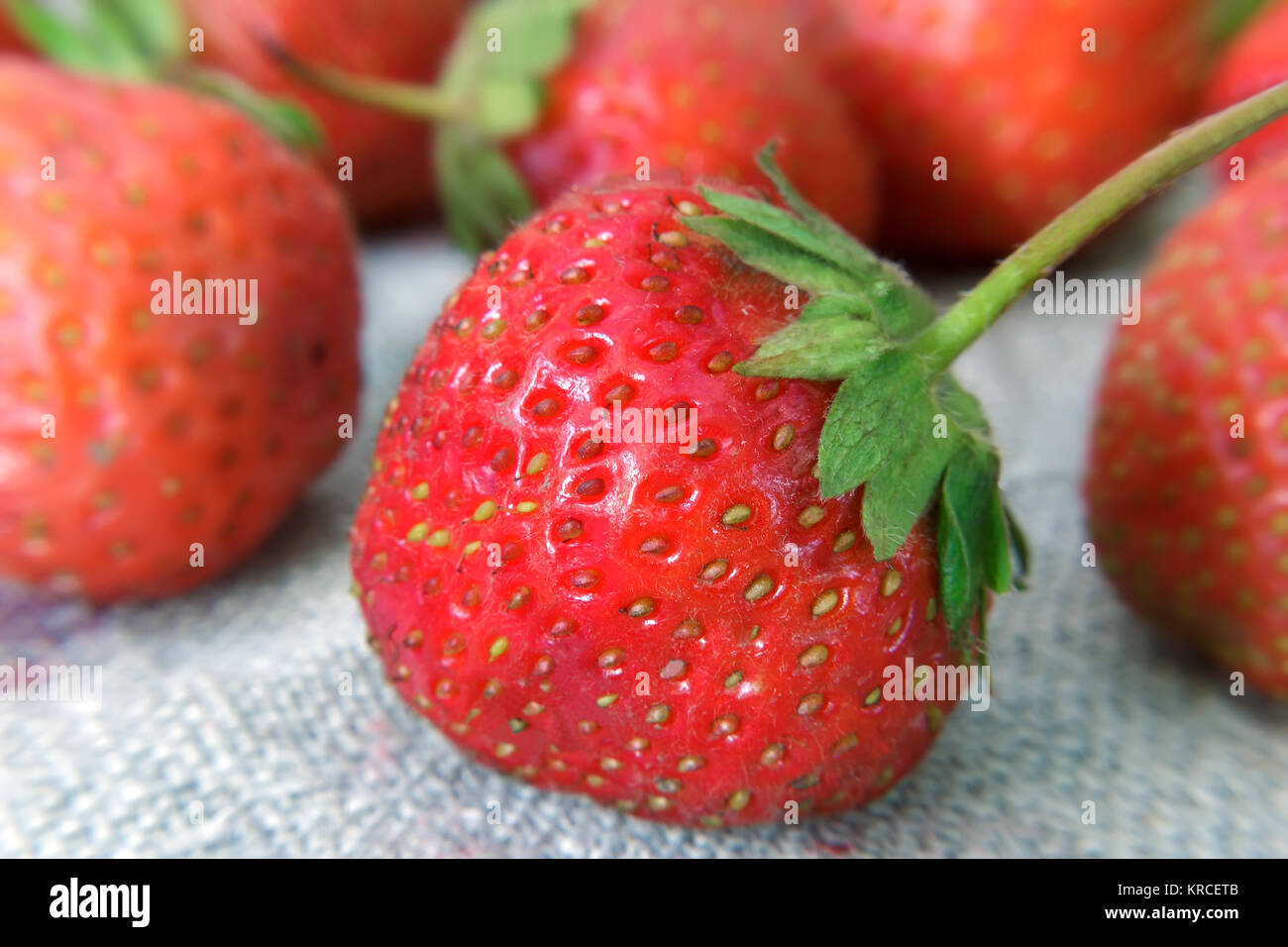 Red ripe strawberries with green leaves. Presents close up with details ...