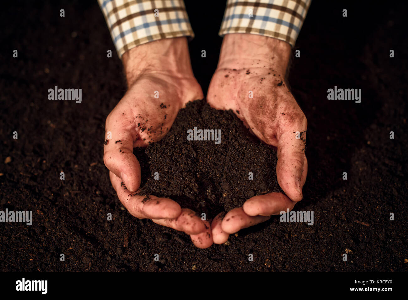 Quality soil in male gardener hands, cultivated dirt ground for organic gardening and agriculture Stock Photo