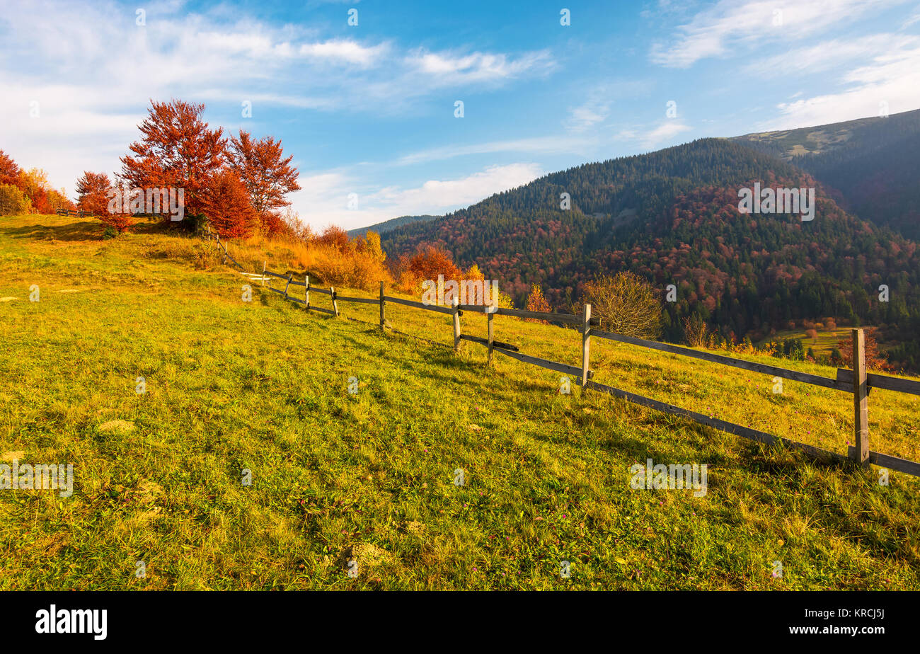 fence along the grassy hillside. beautiful autumn scenery in mountains. calm rural life concept Stock Photo