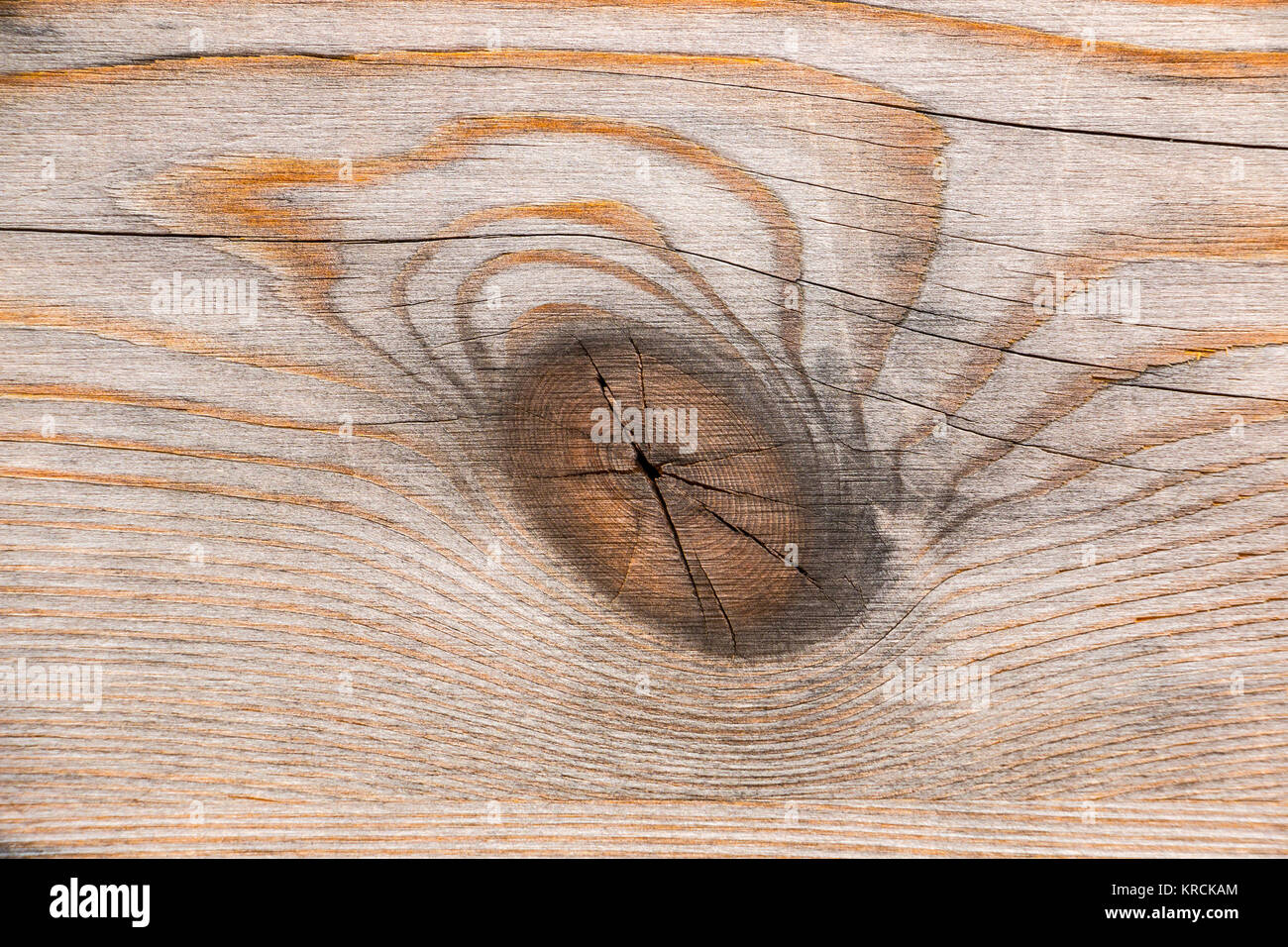 Wooden board with structures and dark knot Stock Photo