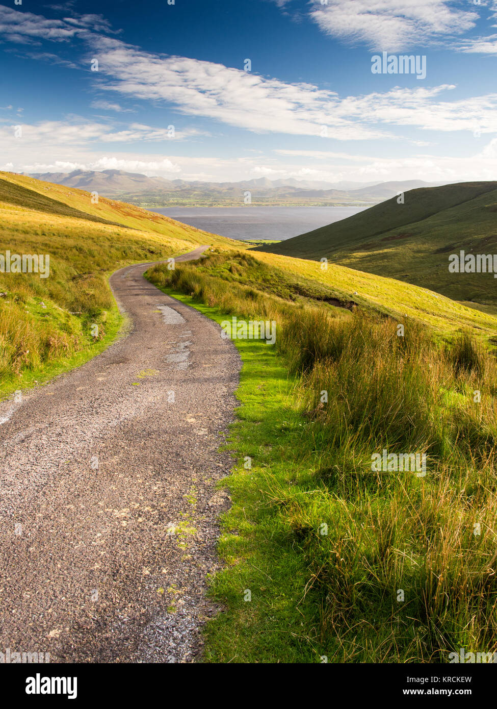 A narrow mouintain pass road winds across grass moorland on Caherconree