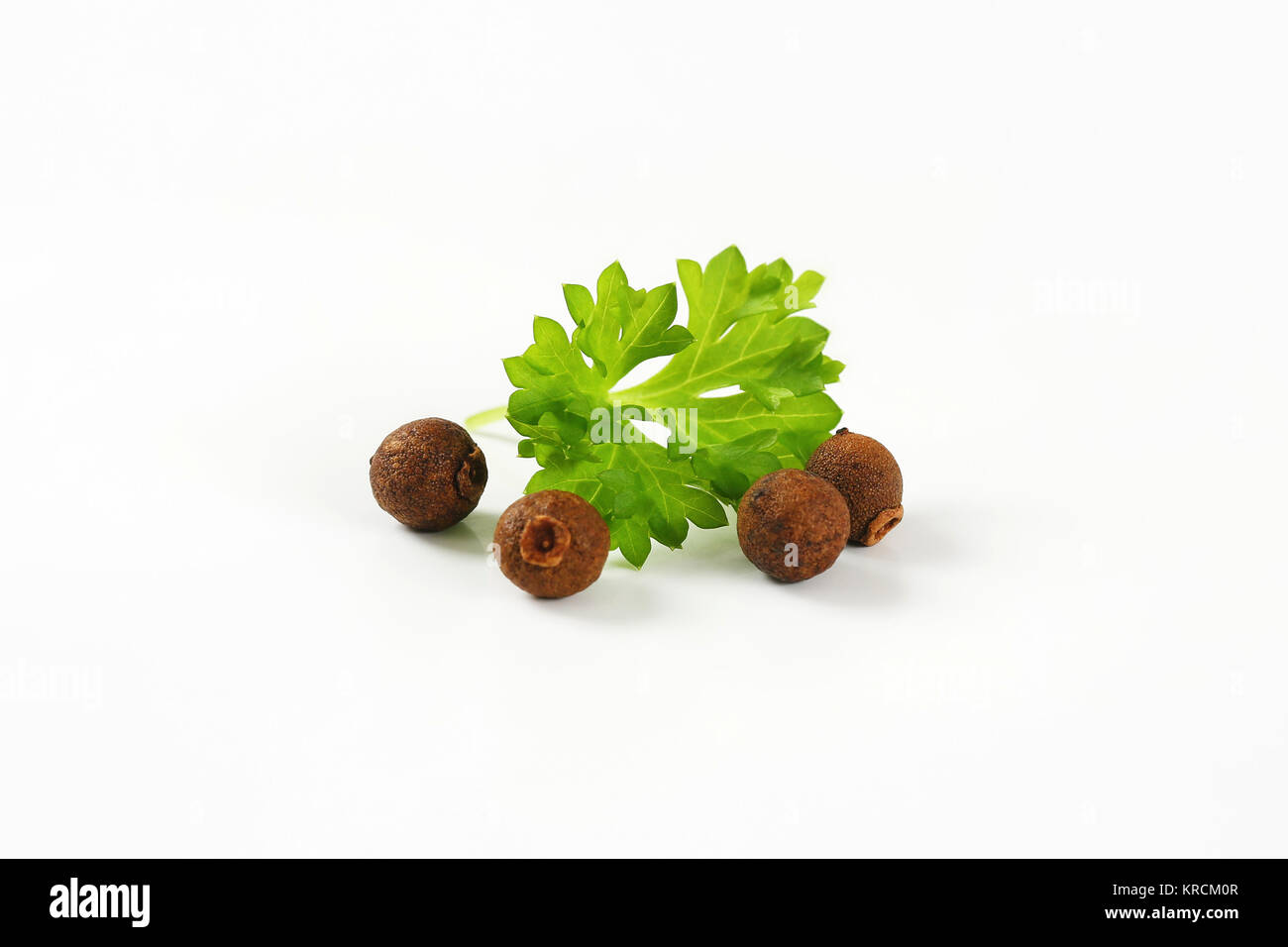 Whole allspice berries Stock Photo Alamy