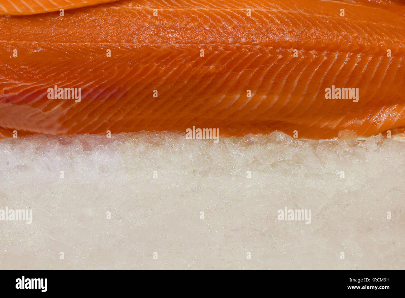 Fresh salmon fillet on ice. Stock Photo