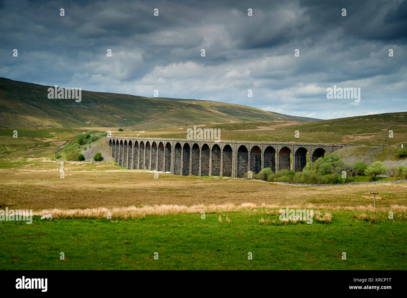 The Ribblehead Viaduct on the Settle-Carlisle railway line in the Yorkshire Dales National Park, England With Whernside behind Stock Photo