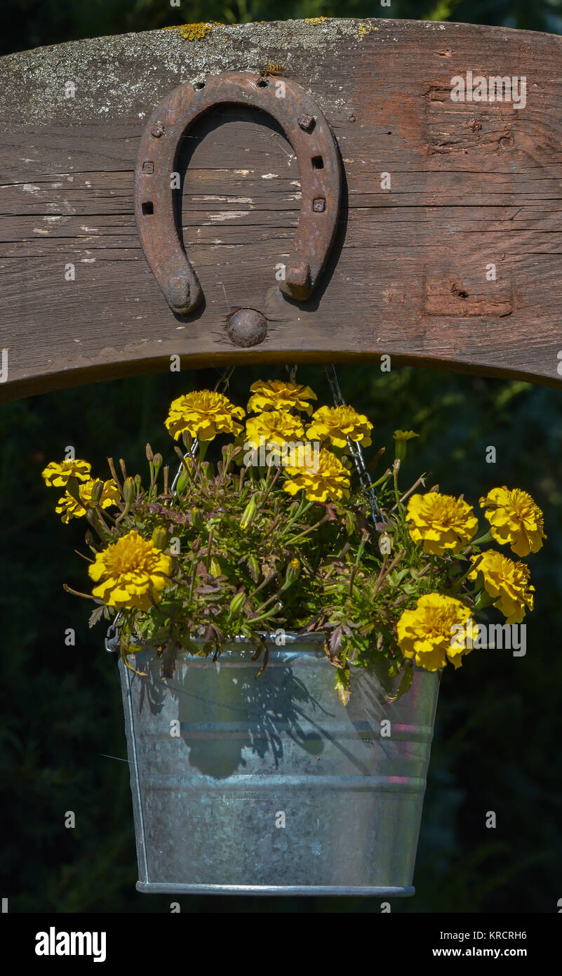 hanging basket at the gate Stock Photo Alamy