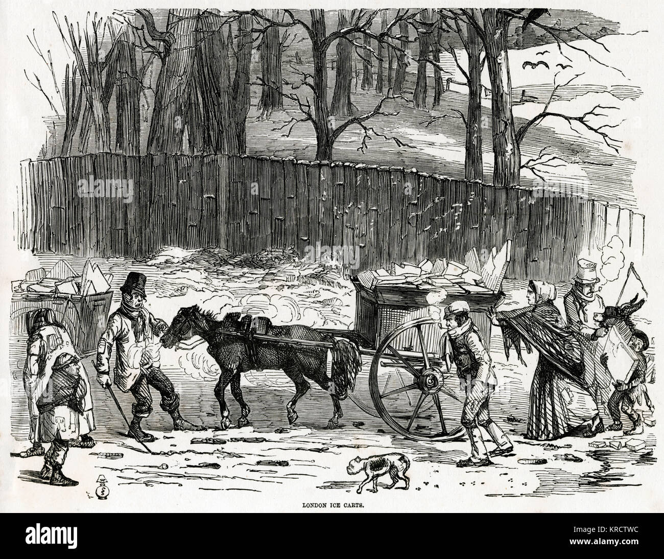 Ice cart in London 1850 Stock Photo Alamy