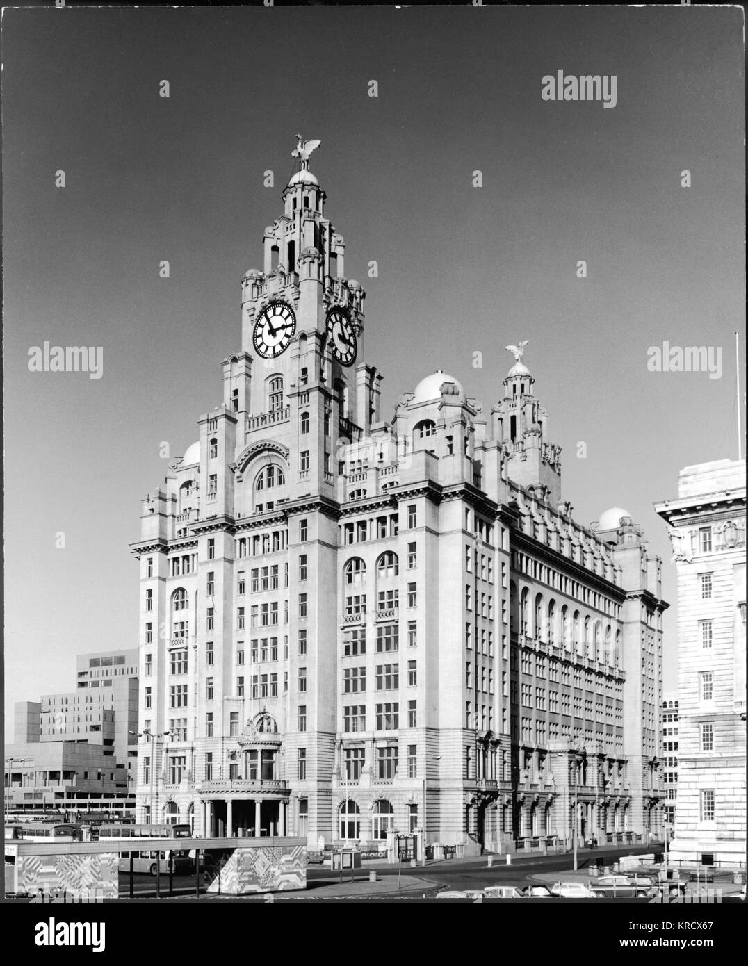 ROYAL LIVER BUILDING Stock Photo Alamy