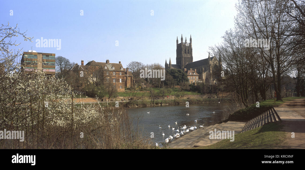 Worcester town and cathedral  from the River Severn,  England.        Date: 2004 Stock Photo