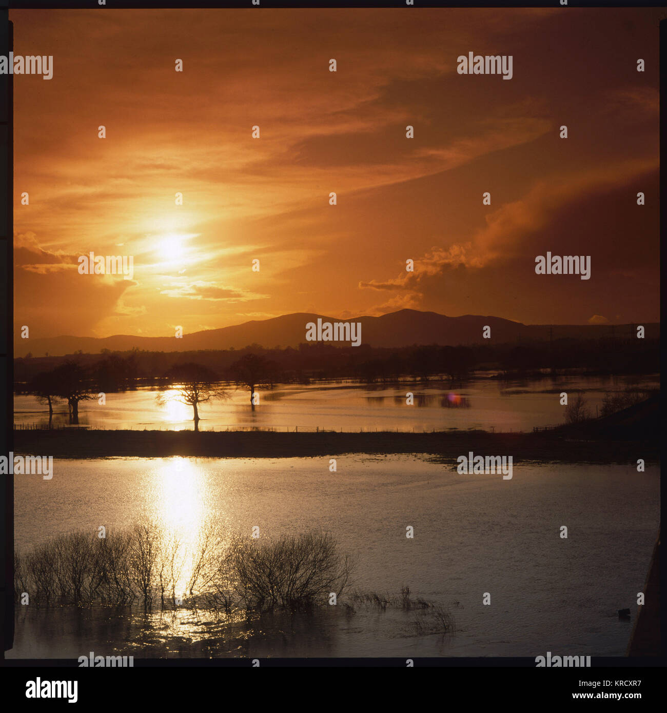Sunset over the floods of the  River Severn, near Worcester,  England, looking towards the  Malvern Hills.       Date: 1995 Stock Photo