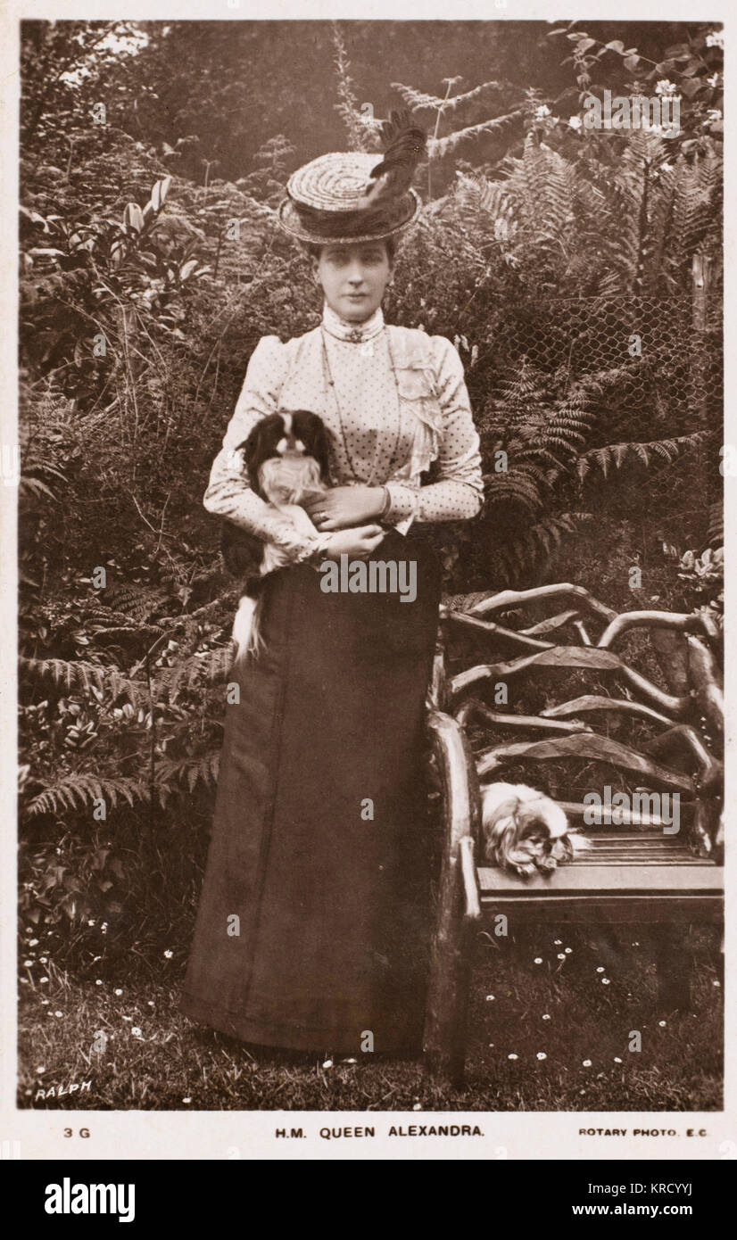 Queen Alexandra with dogs Stock Photo