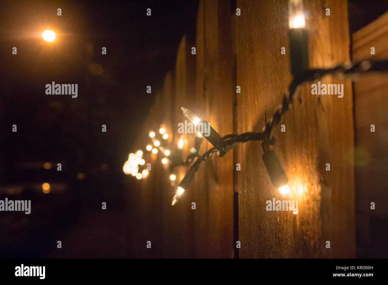 Christmas lights on the fence Stock Photo