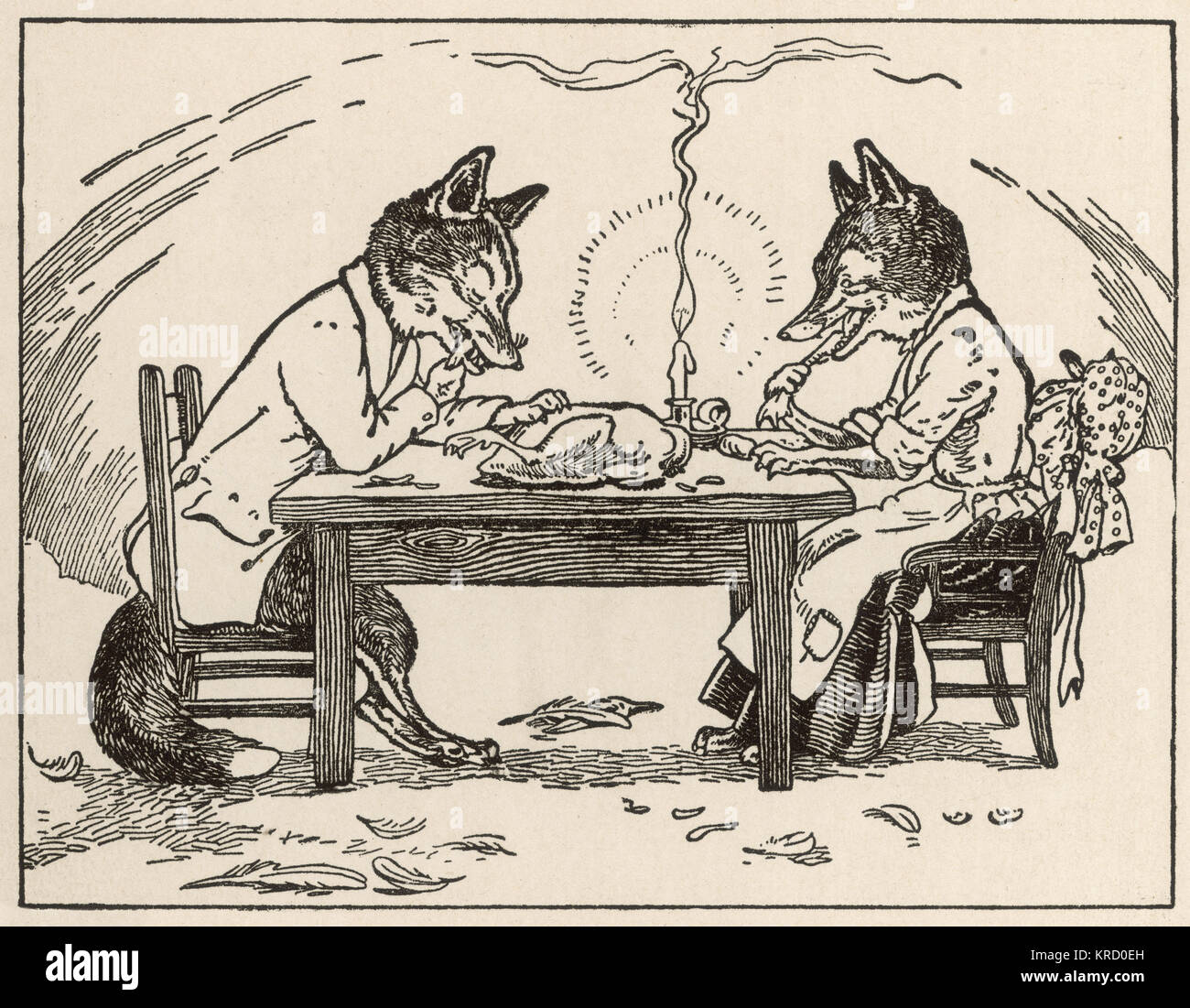 Sitting with his wife, the hungry fox eats the goose without a knife and fork by candlelight, leaving plucked feathers on the floor     Date: circa 1920 Stock Photo