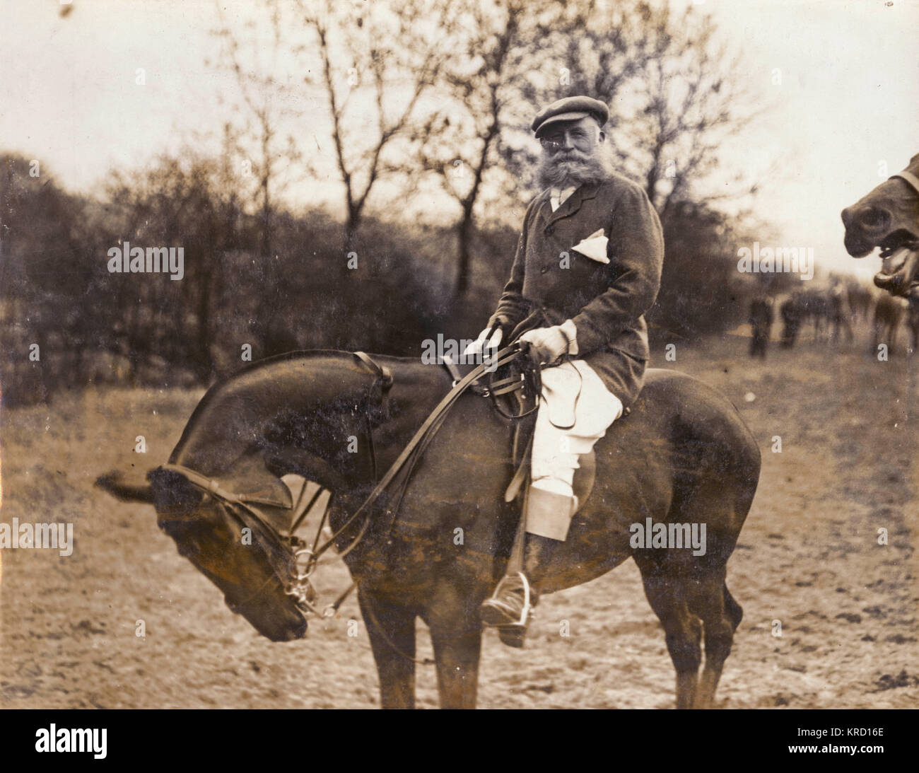 Charles Augustus Stanhope, 8th Earl of Harrington (18441917), royal
