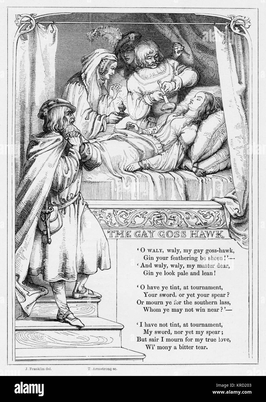 THE GAY HOSHAWK.  British ballad about a Scottish squire who sends letters to his love by a goshawk.  He tells her that he will die for love.  She tricks her father, who is against the lovers marrying, by taking a sleeping potion thus feigning death.  Her body is carried to Scotland where she has agreed to be buried and on arrival she wakes and the lovers are together.     Date: 1853 Stock Photo