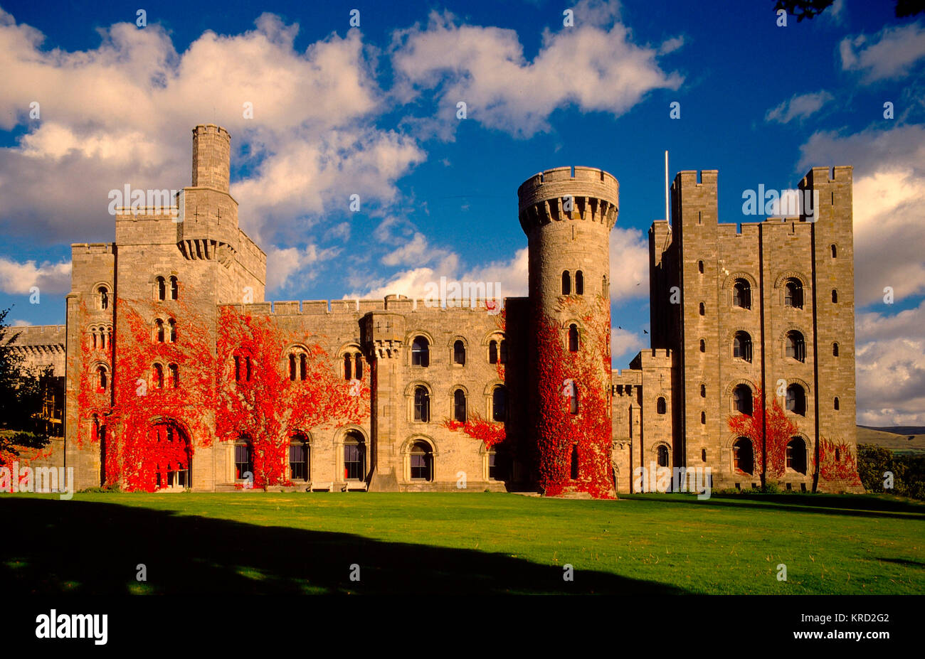 View of Penrhyn Castle, near Bangor, Gwynedd, North Wales, with bright red ivy growing on the walls.       Date: 2008 Stock Photo