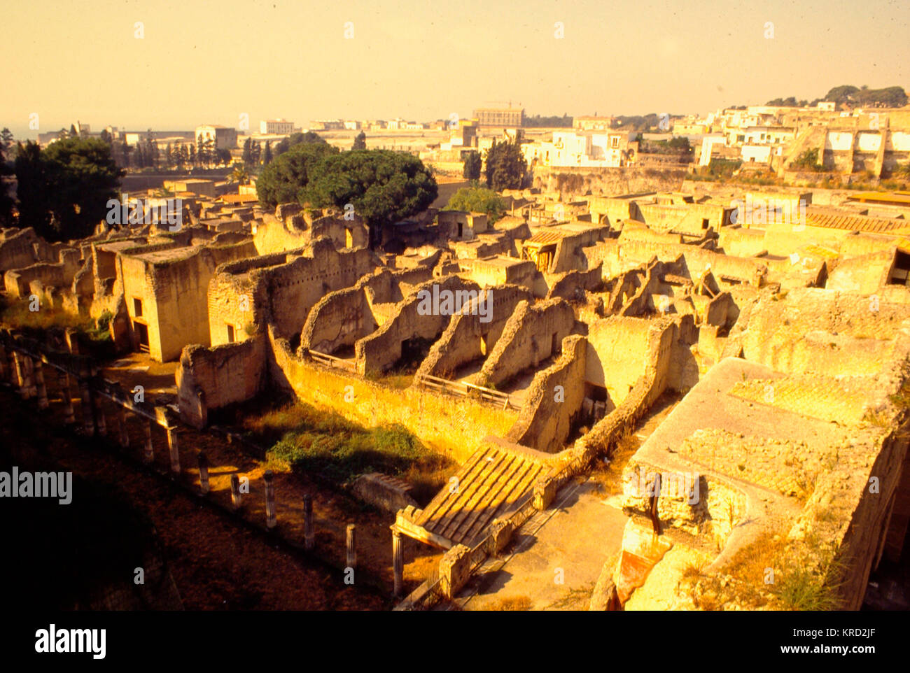General view of the ruins of Herculaneum, Italy. Like Pompeii, the town