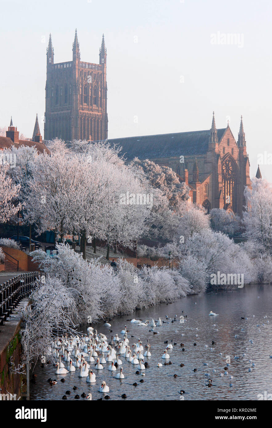 View of Worcester Cathedral, Worcestershire, near the River Severn, on a frosty day (one of the coldest on record).  The Cathedral's full name is The Cathedral Church of Christ and the Blessed Mary the Virgin of Worcester.  Built between 1084 and 1504, it represents every style of English architecture from Norman to Perpendicular Gothic. Stock Photo