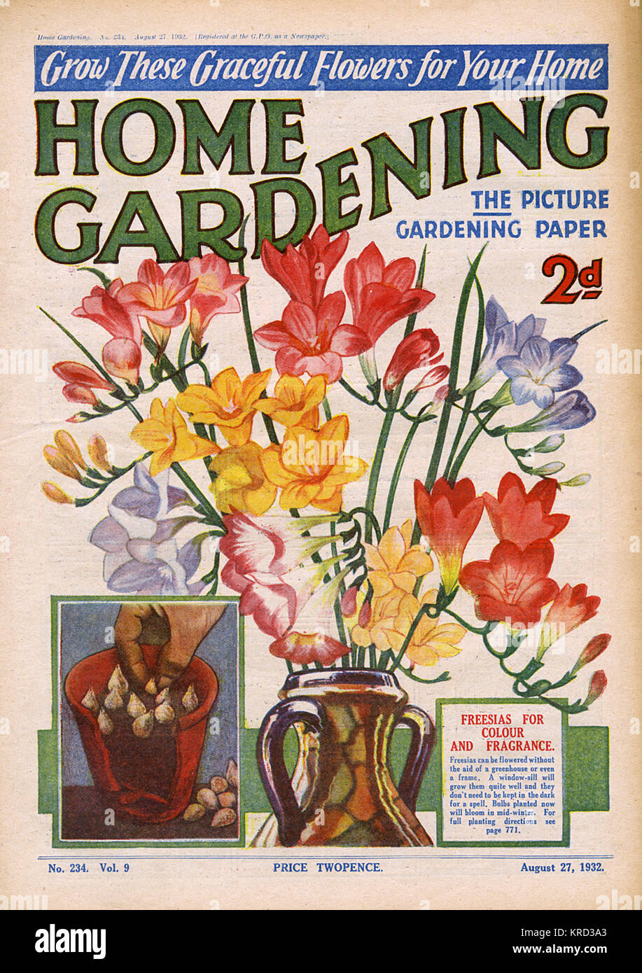 Home Gardening Magazine August 1932 Stock Photo Alamy home-gardening-magazine-august-1932-stock-photo-alamy