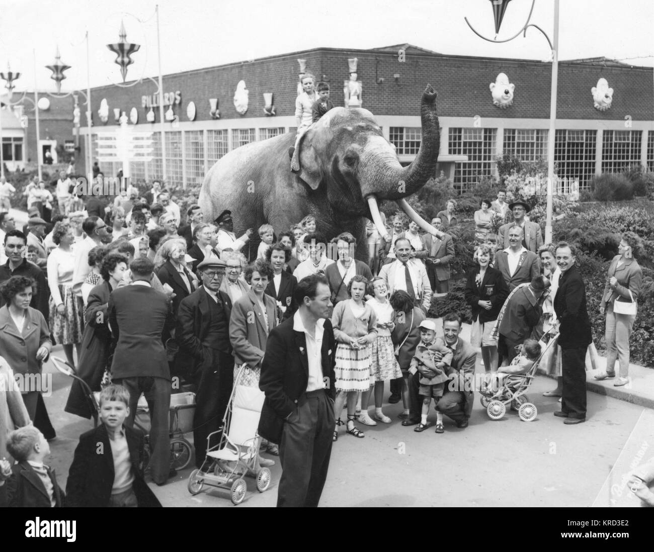 An elephant with holidaymakers at Butlins, Filey Stock Photo