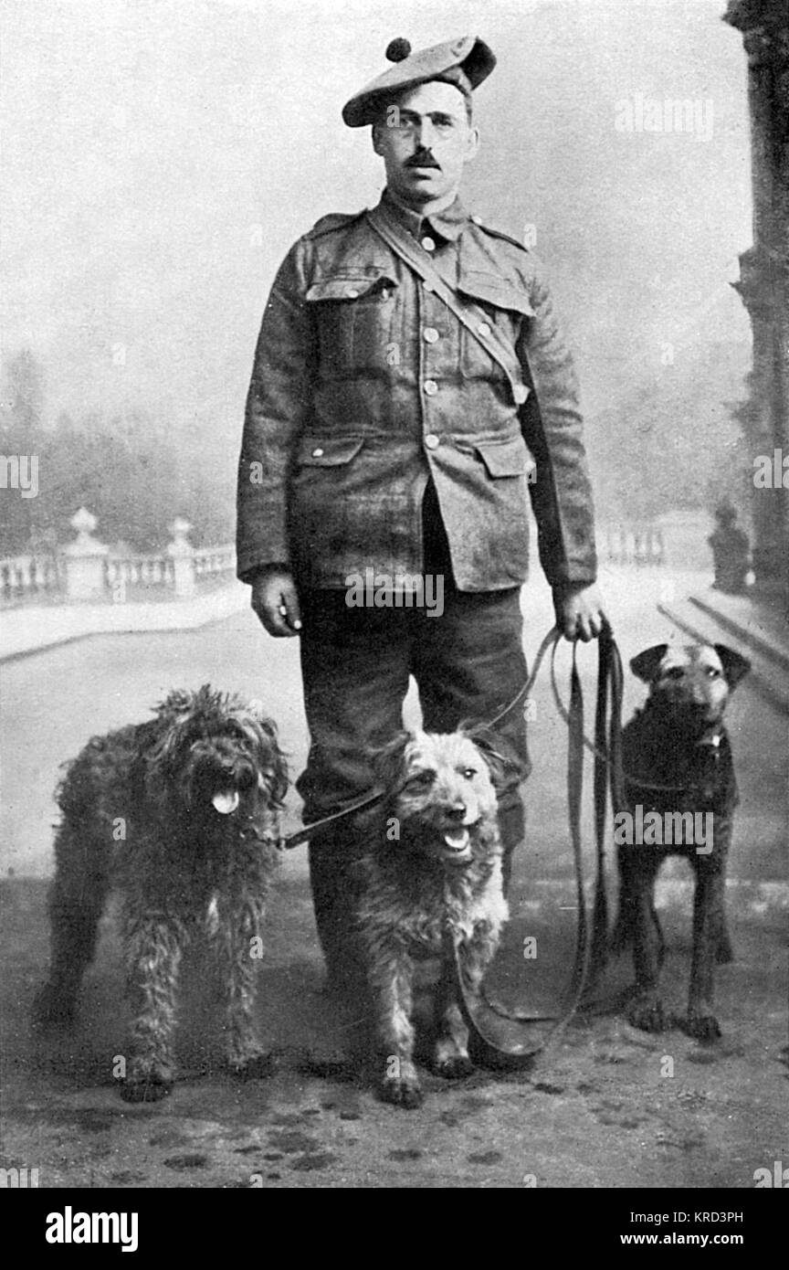 WW1 dogs, Keeper Reid with messenger dogs Stock Photo
