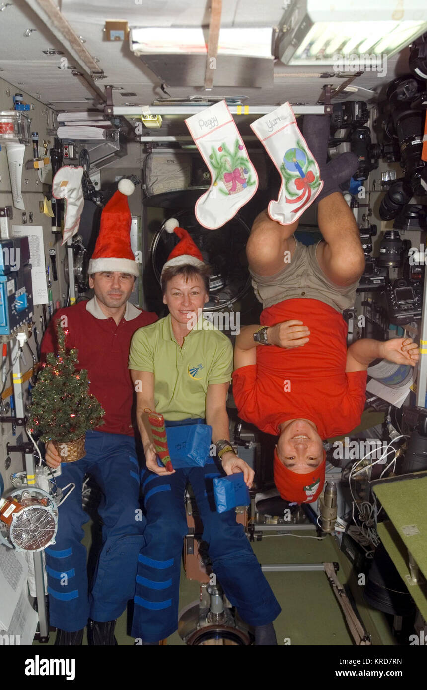 Expedition 16 crew members pose for a Christmas photo in the Zvezda Module of the ISS Stock Photo