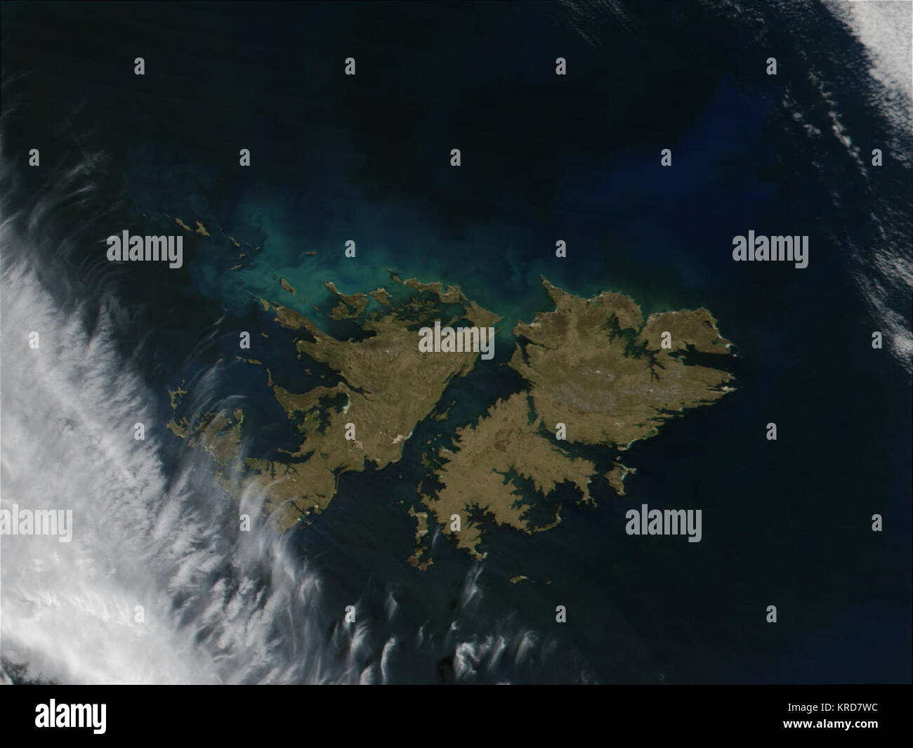 11 HOOGGEWAARDEERDE TOERISTISCHE ATTRACTIES OP DE FALKLANDEILANDEN intelligence overview