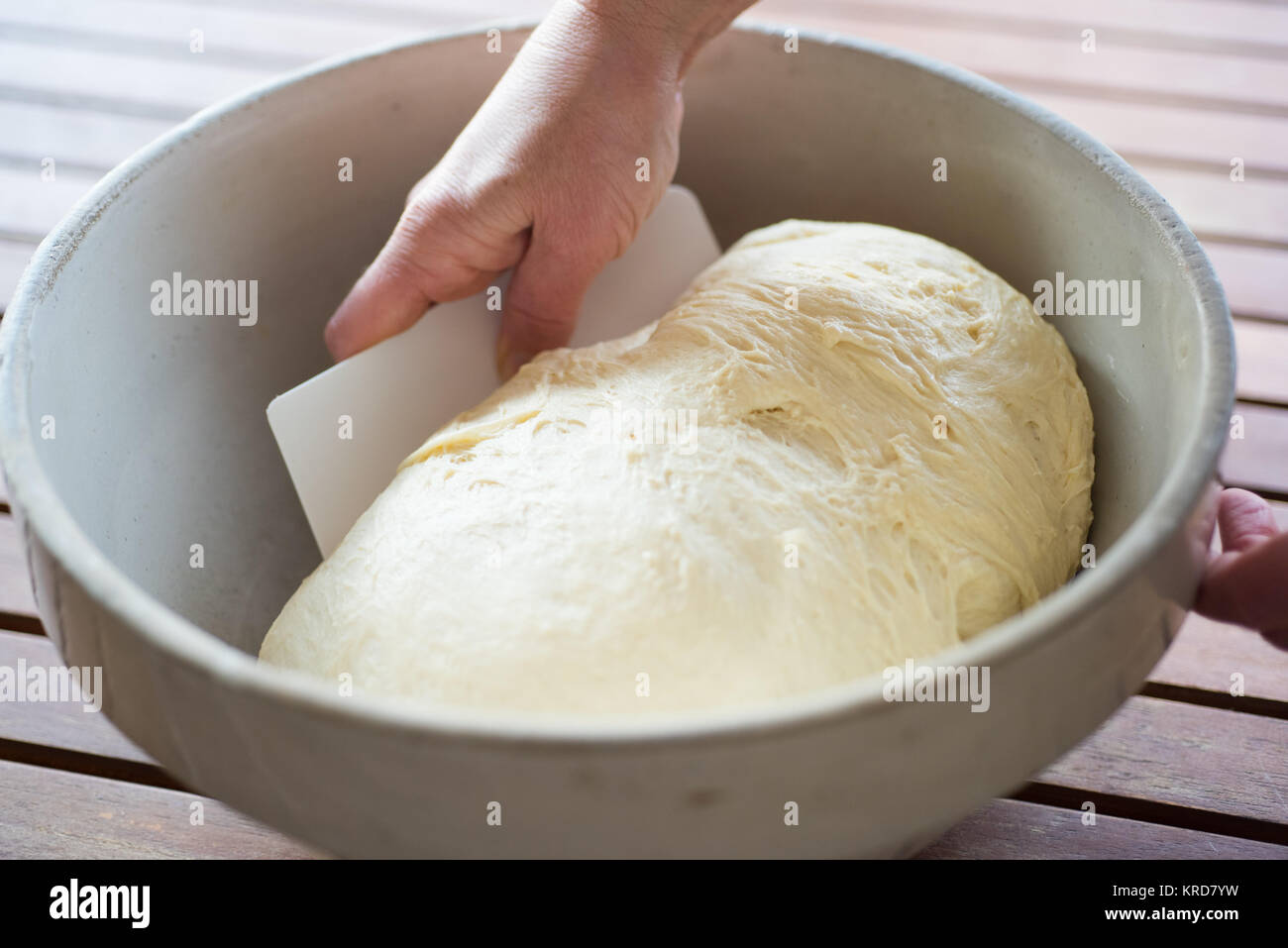 Bread making dough in a bowl Stock Photo - Alamy