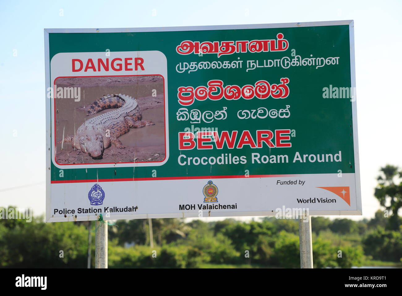 Sri lankan crocodiles hires stock photography and images Alamy