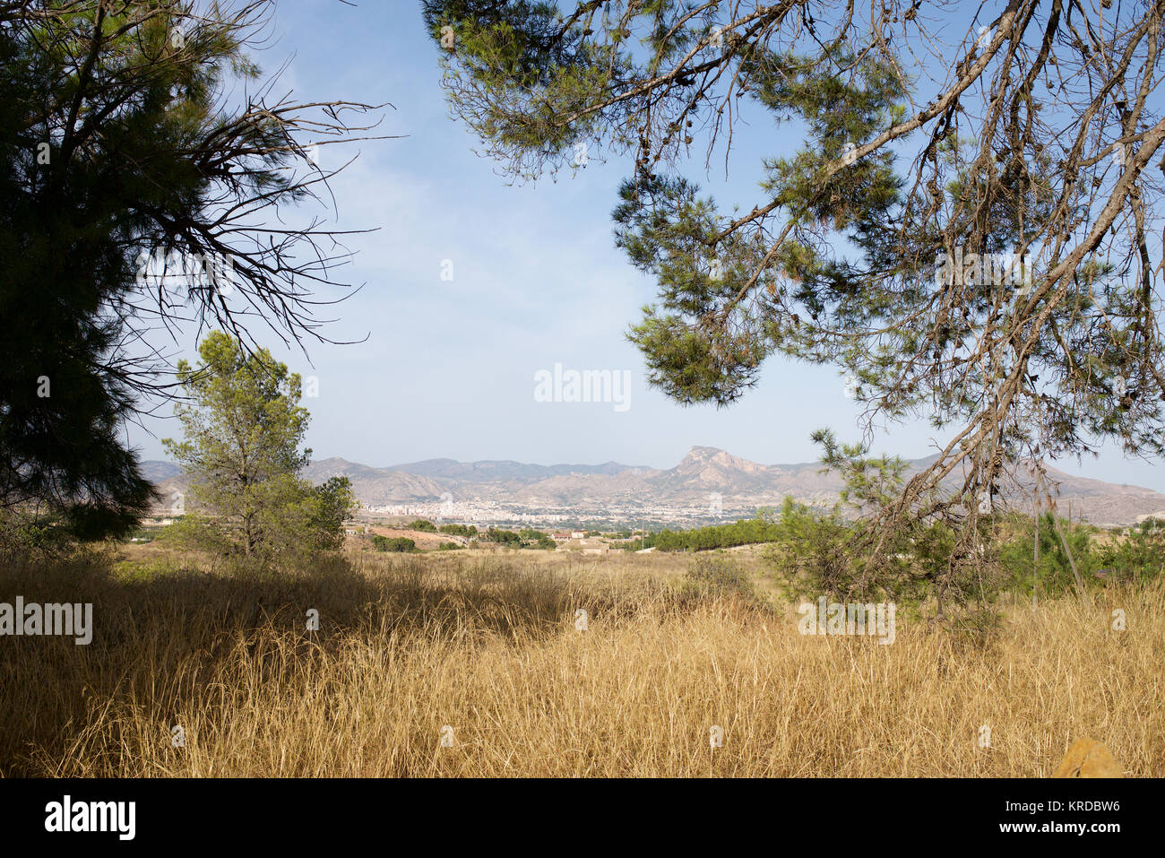Landscape with the city of Elda in the distance Stock Photo