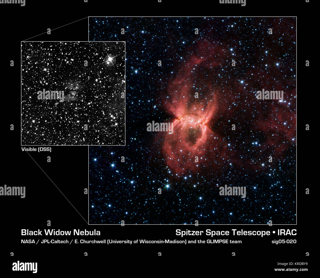 In the constellation Circinus, where previous visible-light observations by the Digital Sky Survey (left) saw only a faint hourglass-shaped patch of obscuring dust and gas, NASA's Spitzer Space Telescope's dust-piercing eyes see a big 'Black Widow Nebula' teeming with clusters of massive young stars (right).  In the Spitzer image, the two opposing bubbles are being formed in opposite directions by the powerful outflows from massive groups of forming stars. The baby stars can be seen as specks of yellow where the two bubbles overlap.  When individual stars form from molecular clouds of gas and  Stock Photo