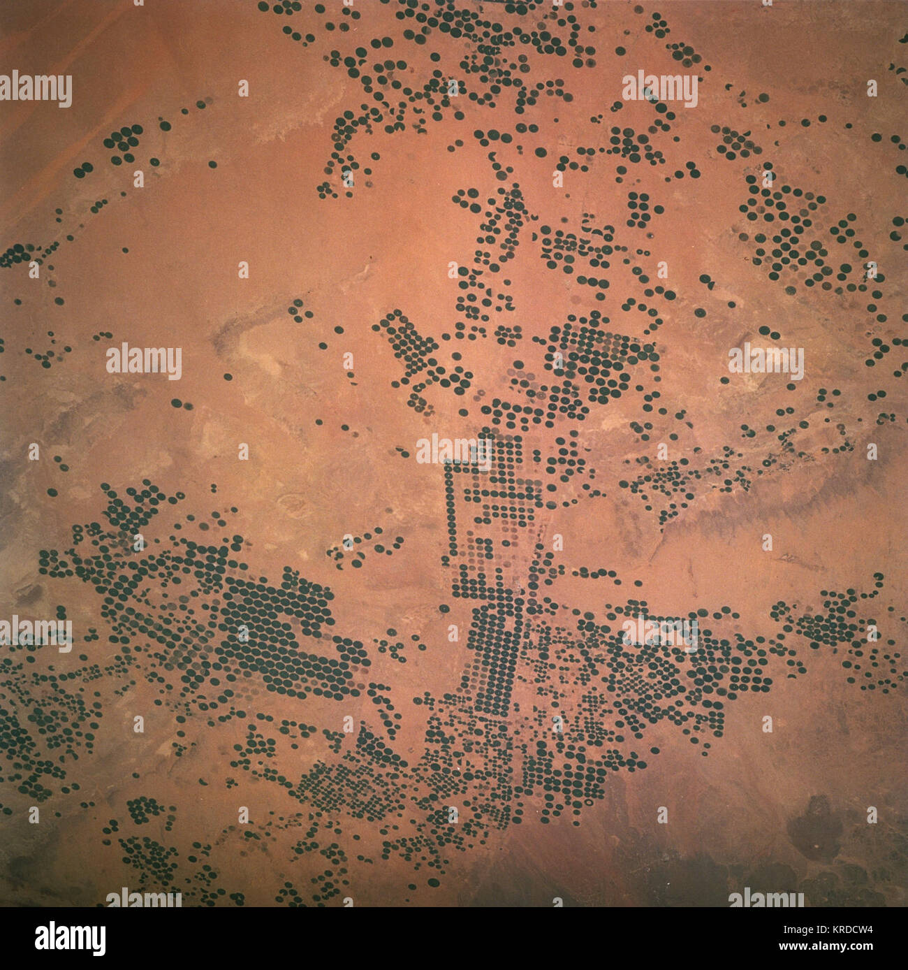 Saudi Arabia irrigation Stock Photo Alamy