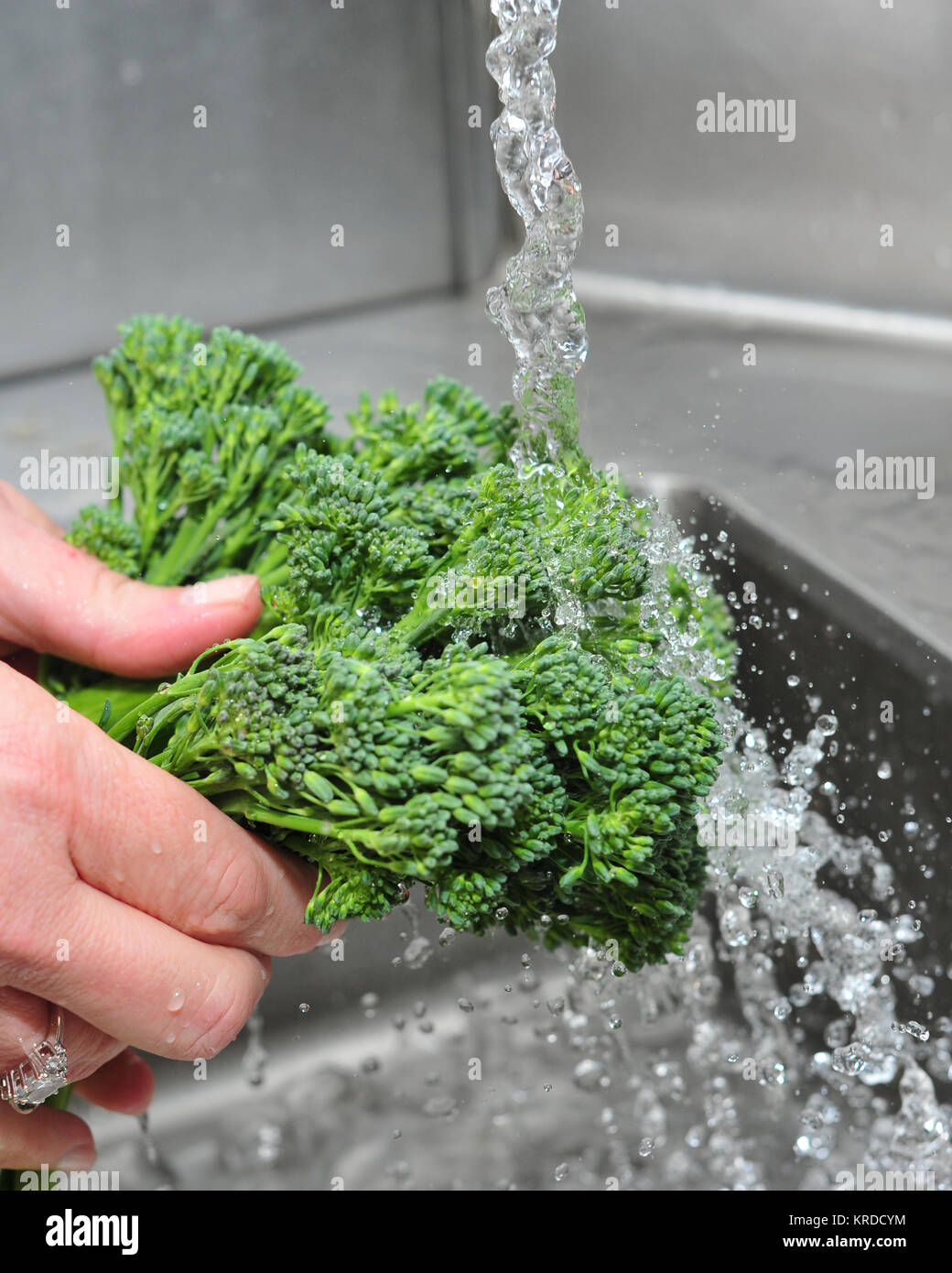 Broccolini being rinsed Stock Photo