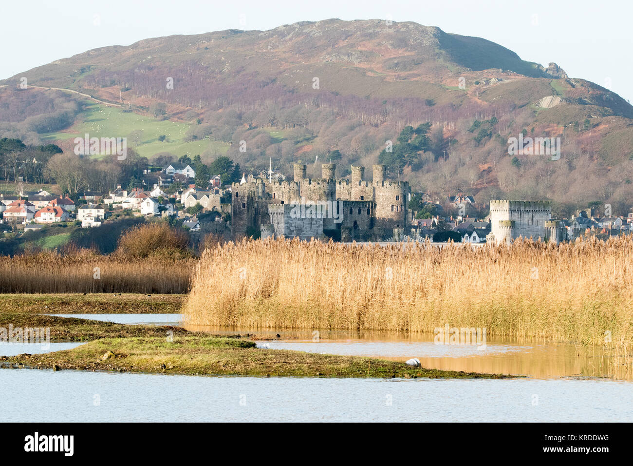 Conwy Castle Stock Photo