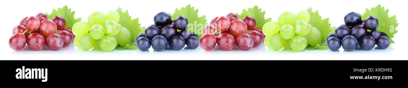 Trauben Weintrauben frische Früchte Obst in einer Reihe Freisteller Stock Photo