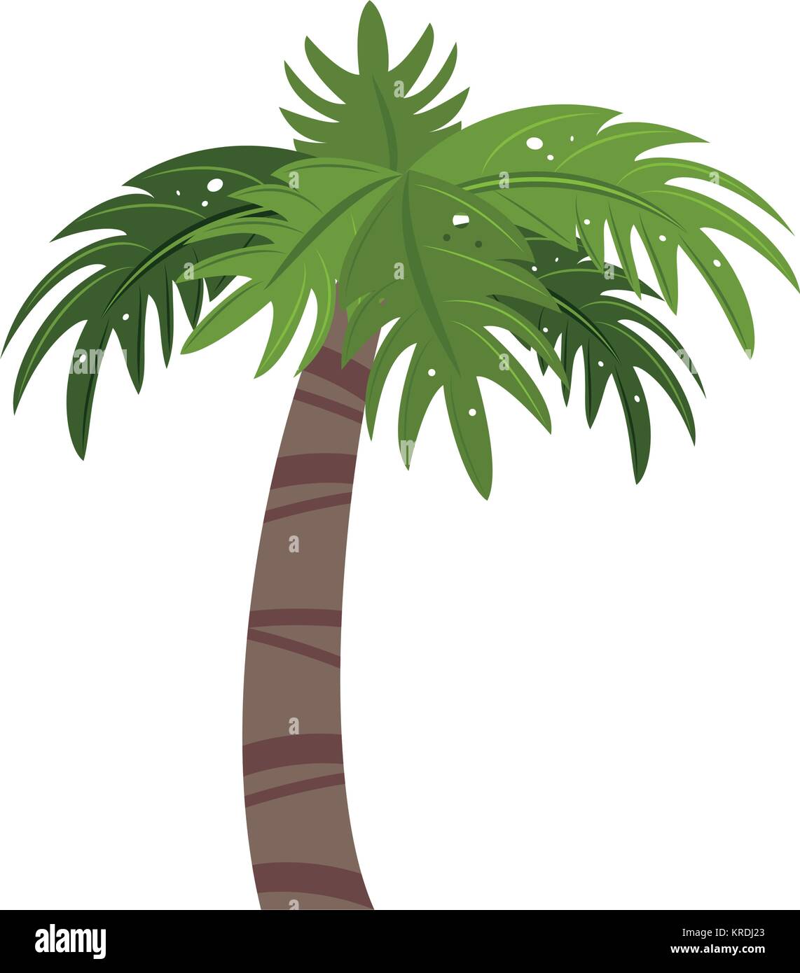 Palm tree isolated Stock Vector Image & Art - Alamy