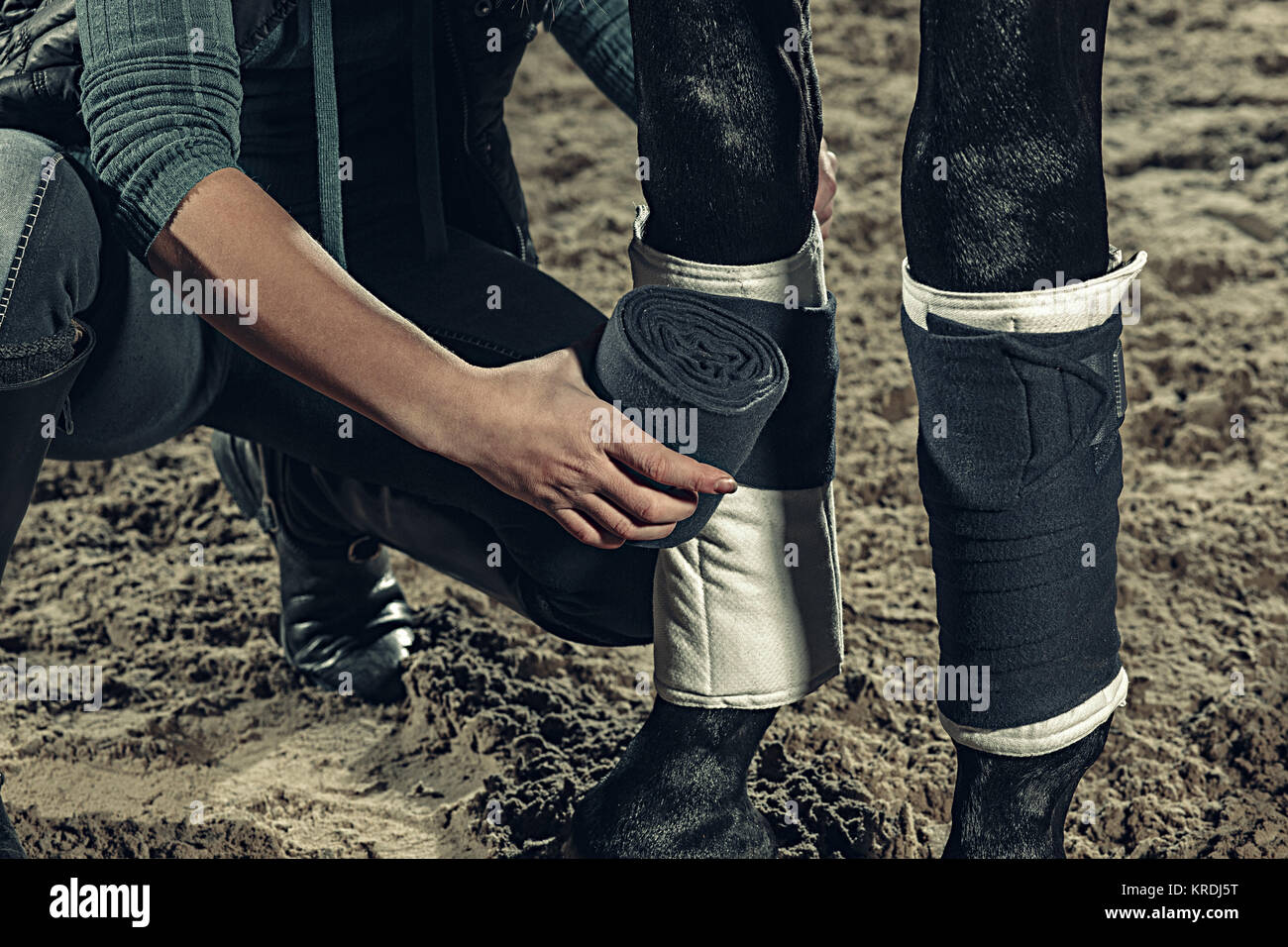 Horse bandage hires stock photography and images Alamy