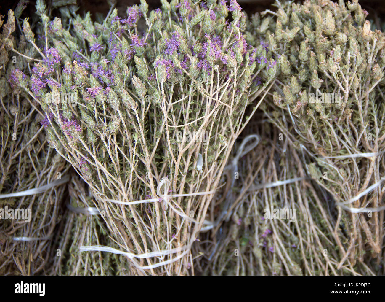 Wild thyme on the market Stock Photo Alamy