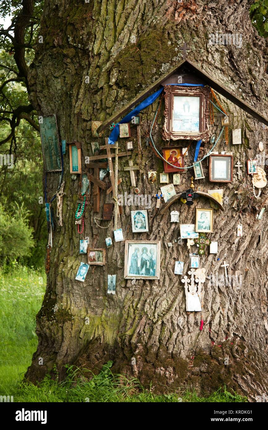 tree festooned with sacred images Stock Photo Alamy