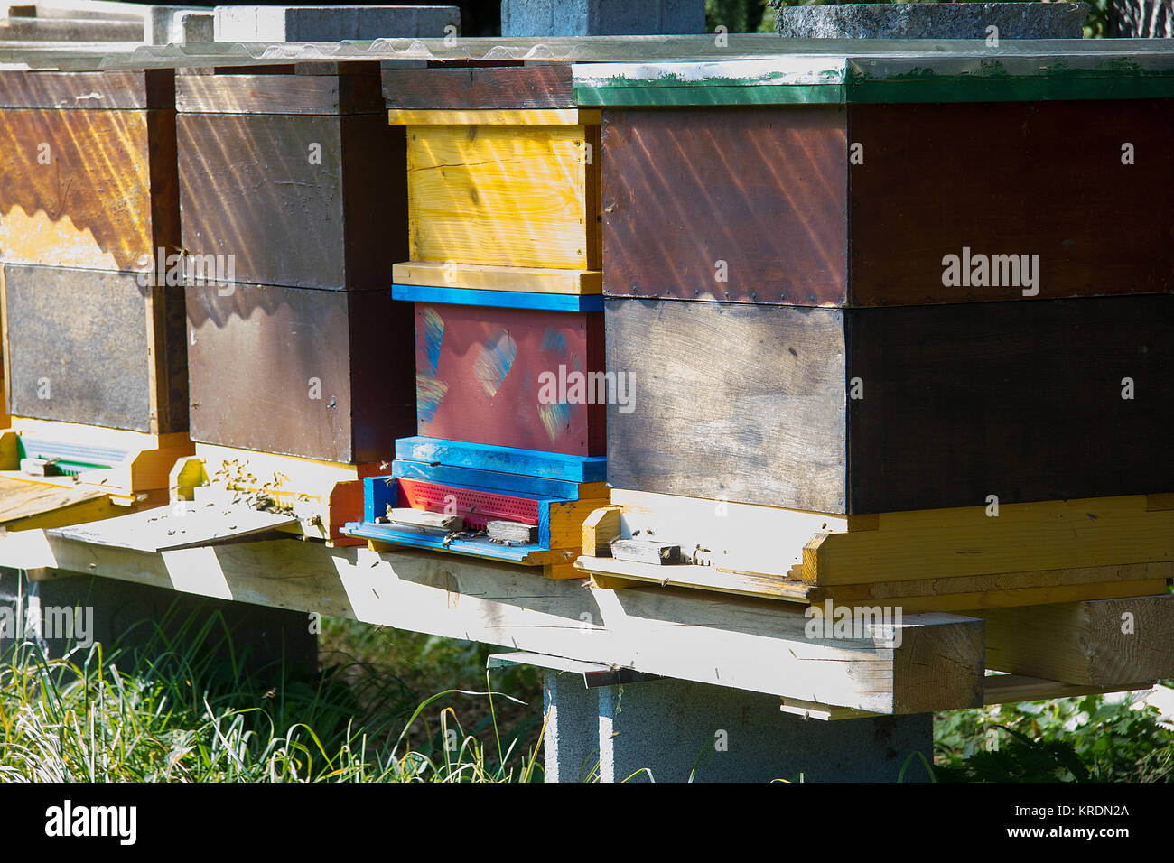 Honeycombs beehives hi-res stock photography and images - Alamy