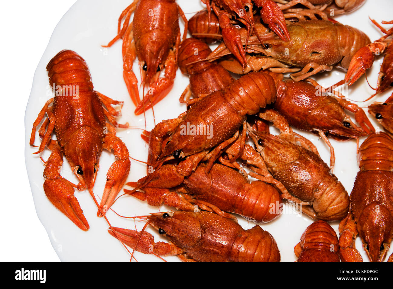 Alive crayfish isolated on white background. Stock Photo