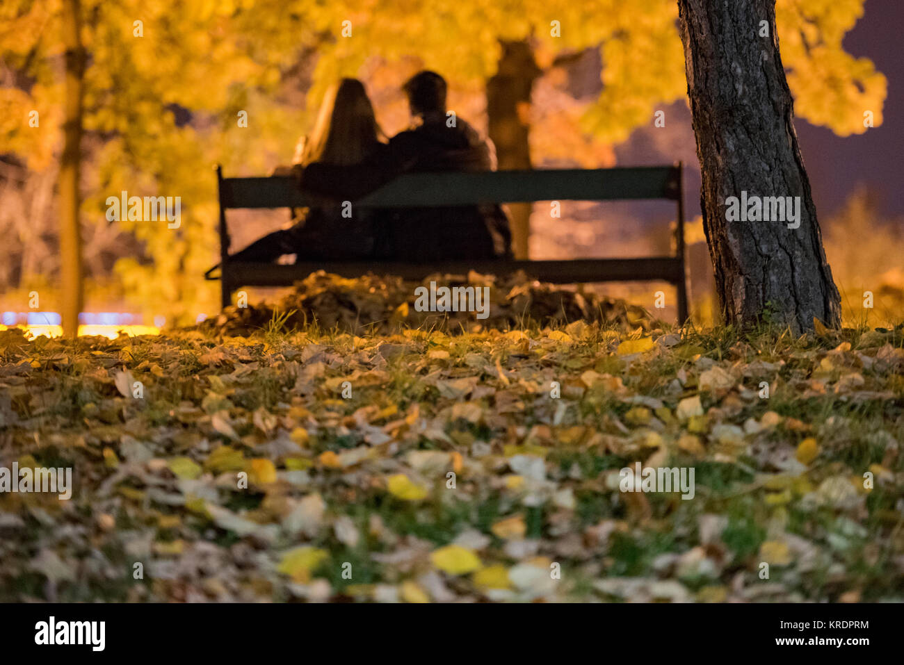 Couple on a bench in an autumn evening Stock Photo