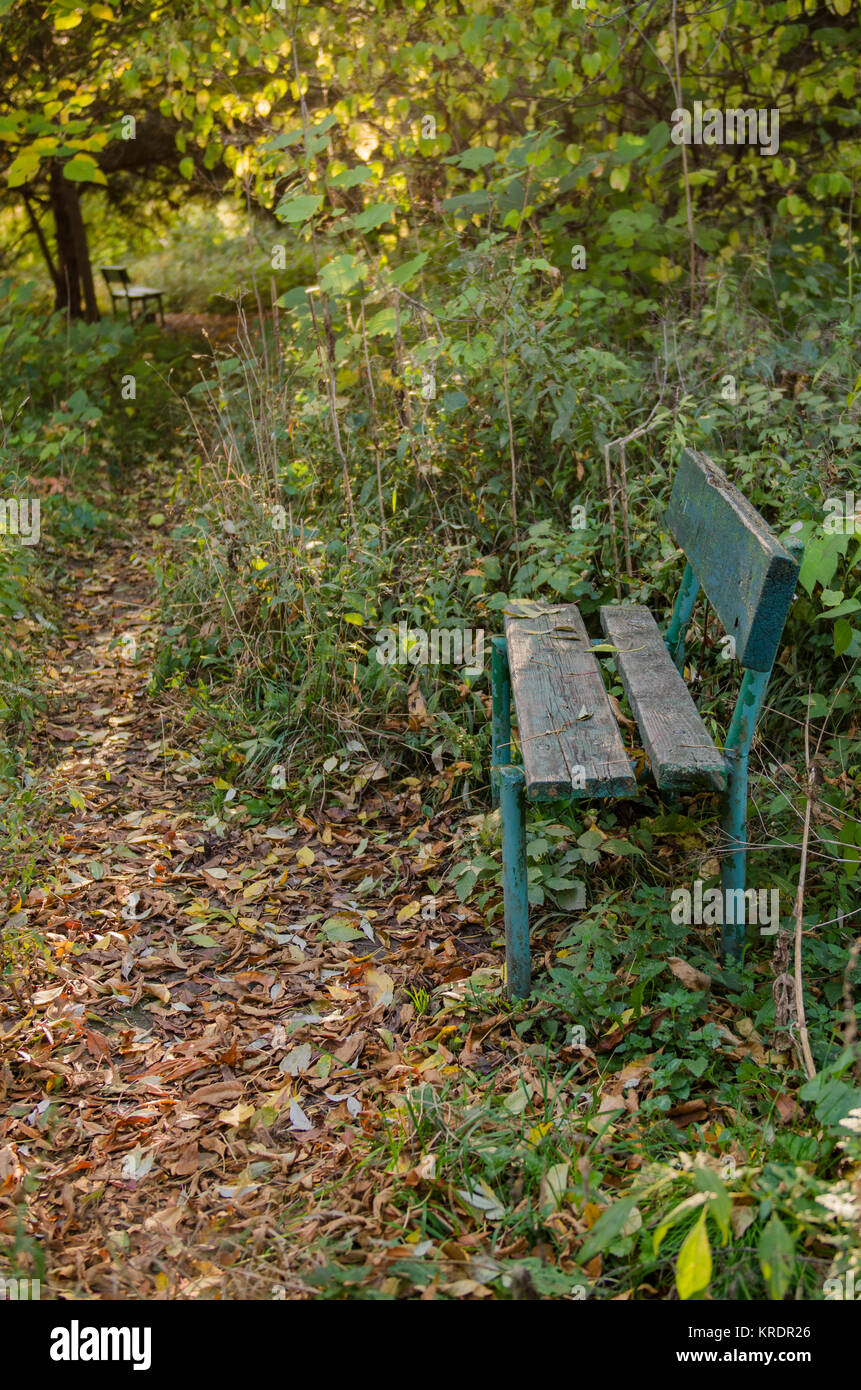 Autumn scene with a bench Stock Photo - Alamy
