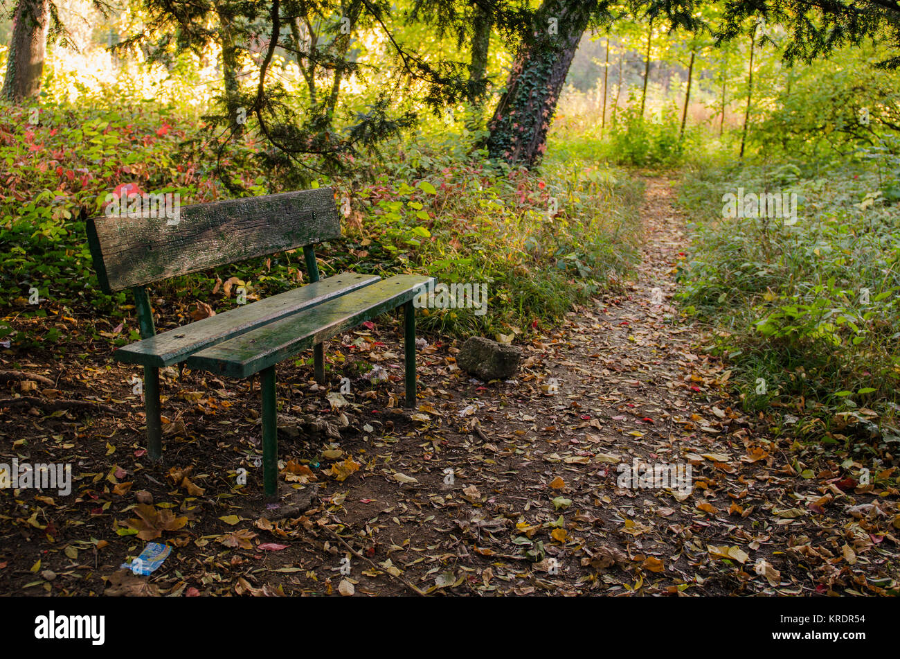 Autumn scene with a bench Stock Photo - Alamy