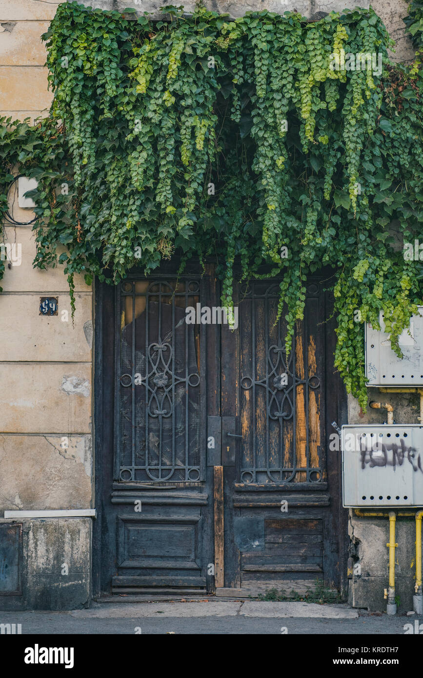 Old door with vegetation in Bucharest, Romania. Stock Photo